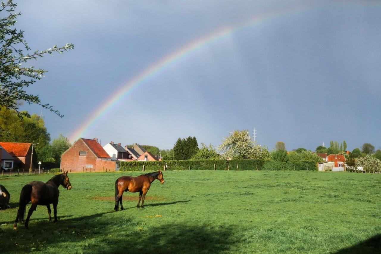 Gite Rural Les Petites Tetes Leuze-en-Hainaut Eksteriør bilde