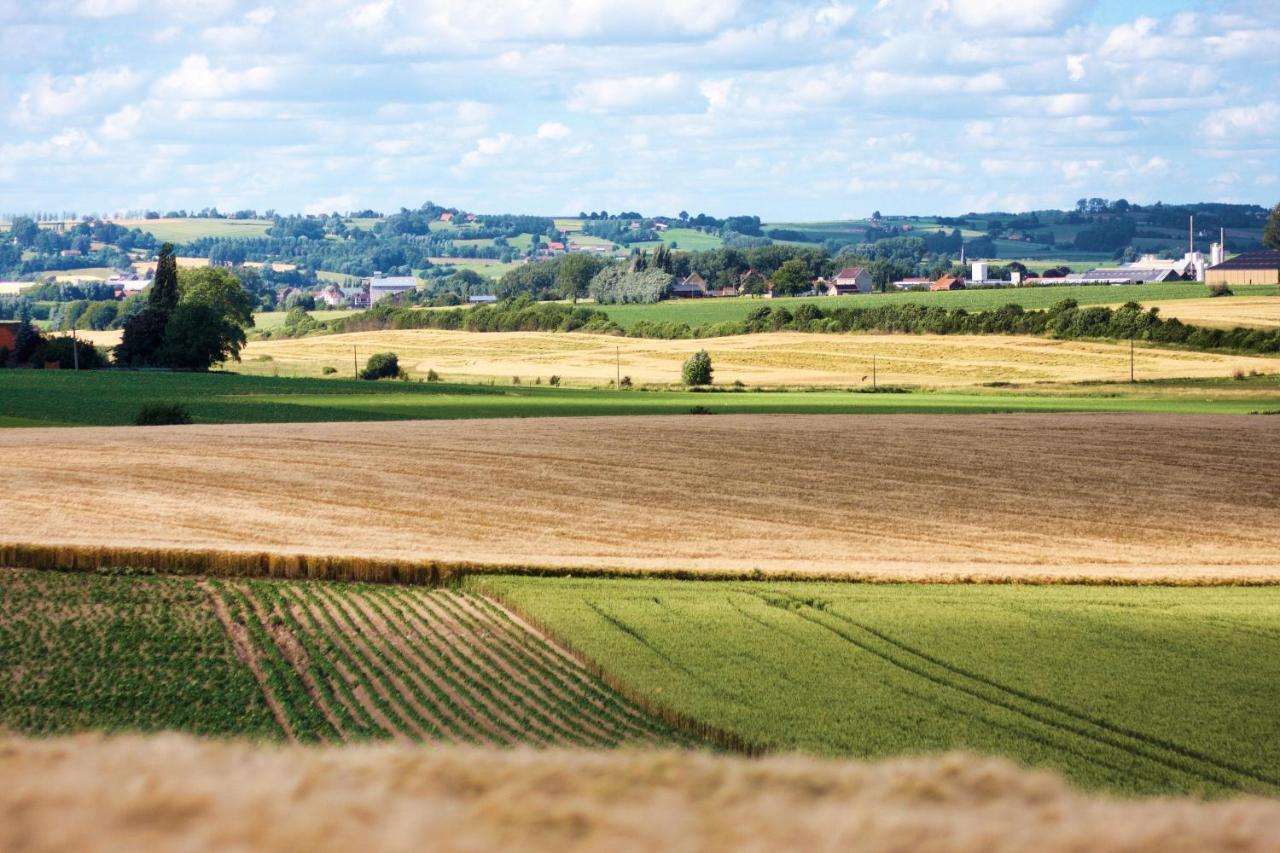 Gite Rural Les Petites Tetes Leuze-en-Hainaut Eksteriør bilde