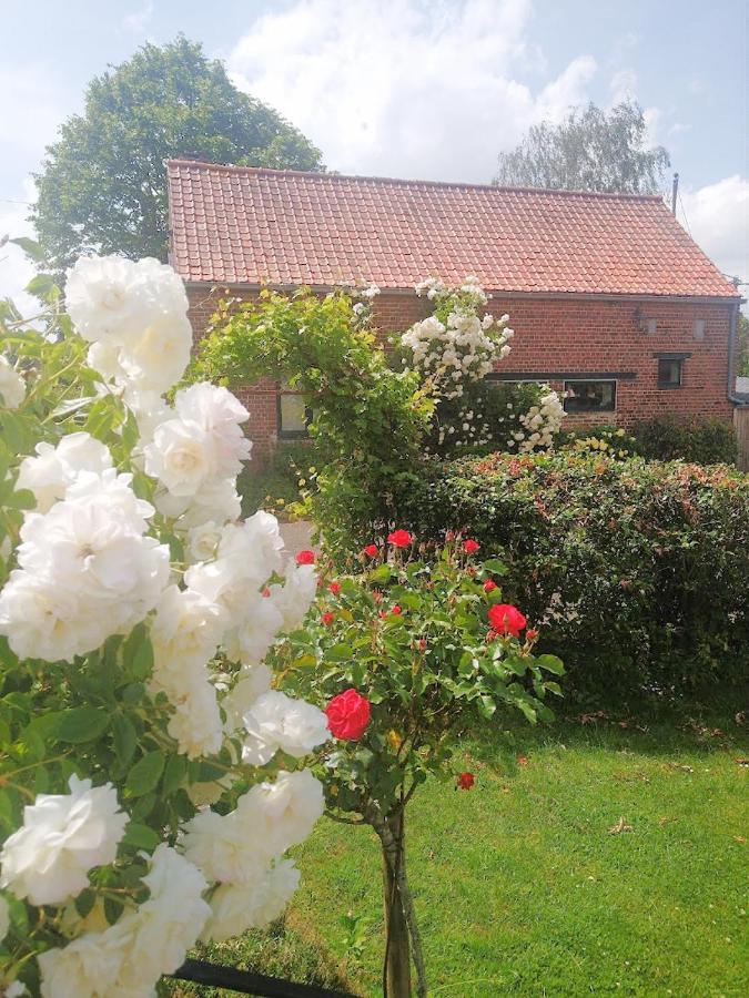 Gite Rural Les Petites Tetes Leuze-en-Hainaut Eksteriør bilde